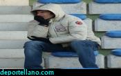 Pavone en la grada, se resguarda de las bajas temperaturas